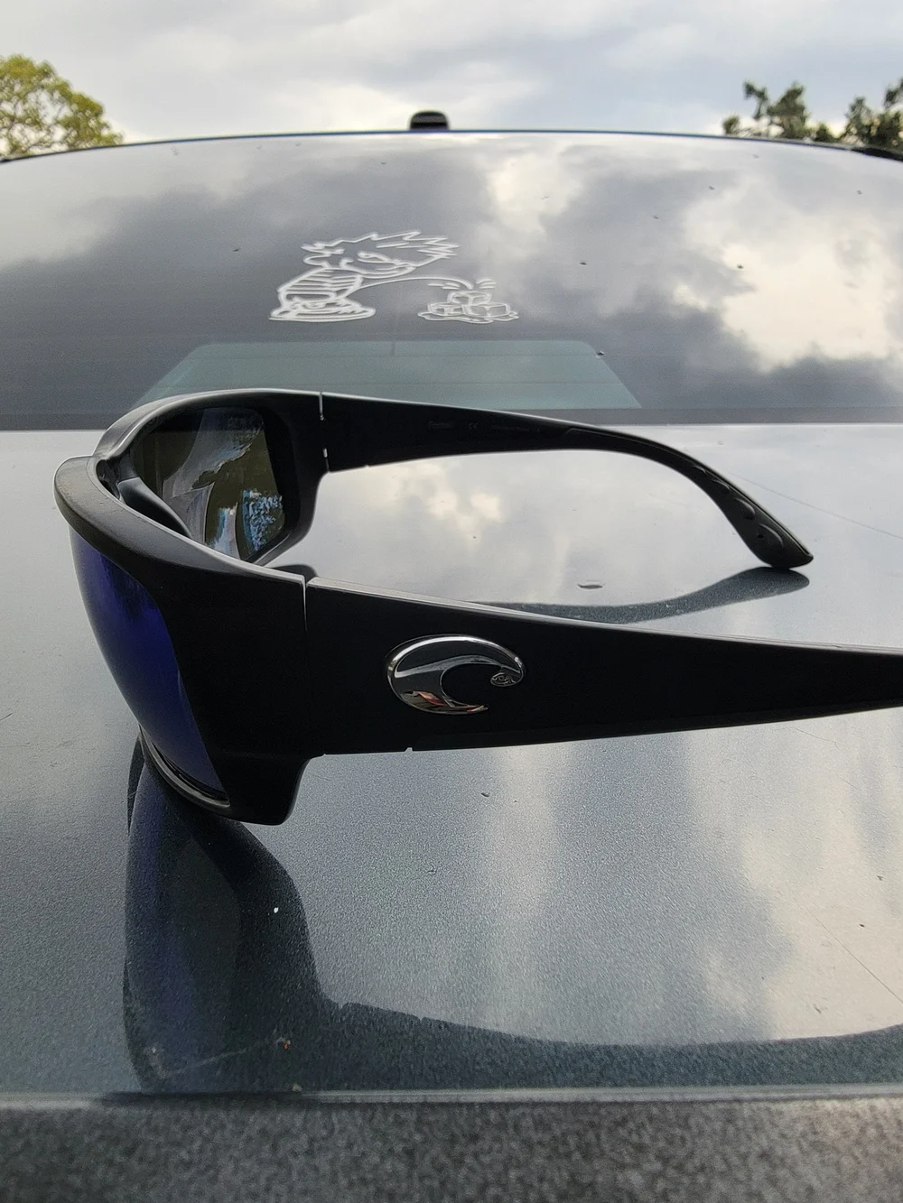 Costa Sunglasses